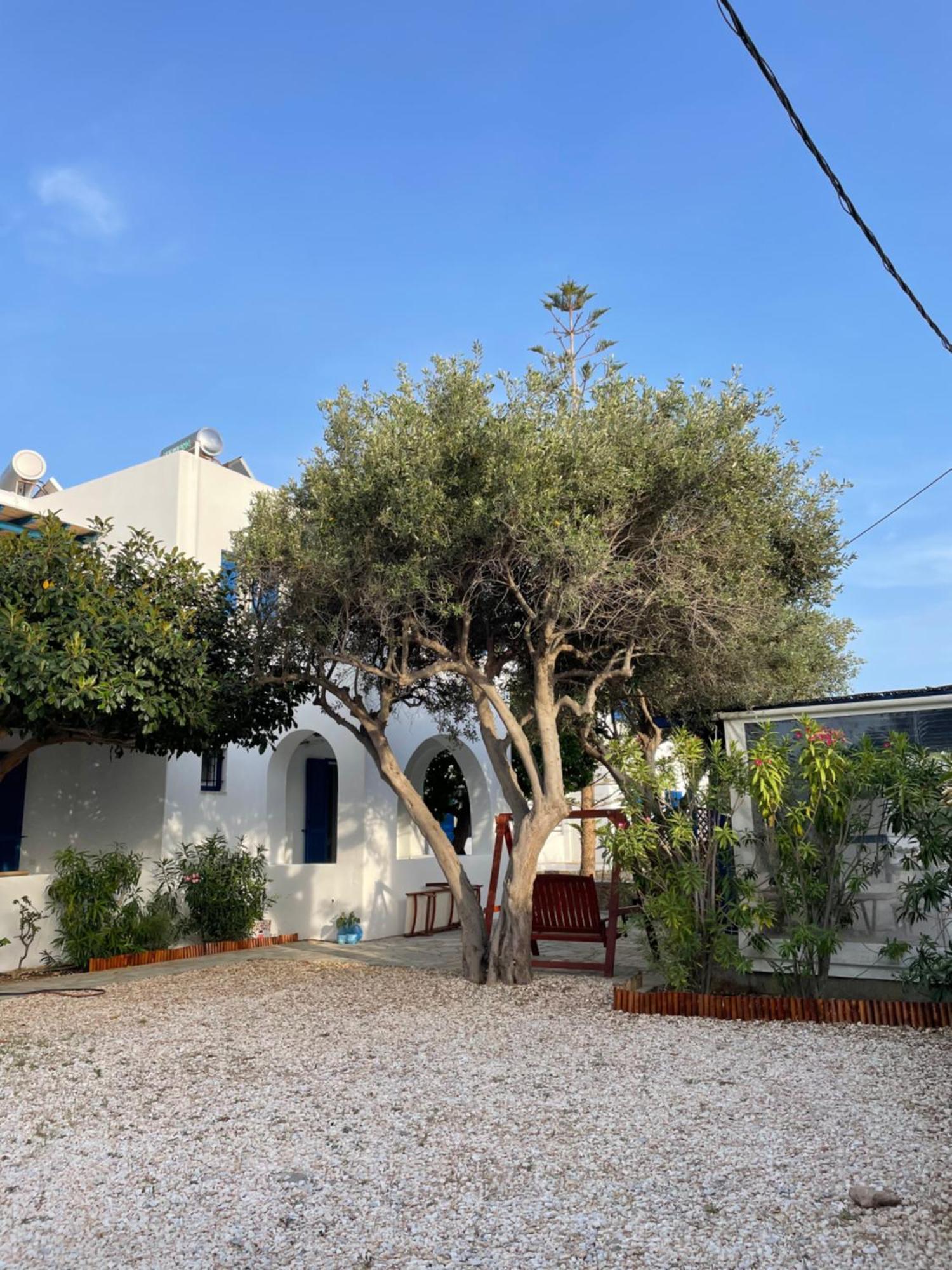 Villa Gelly's Studios Alikí Esterno foto